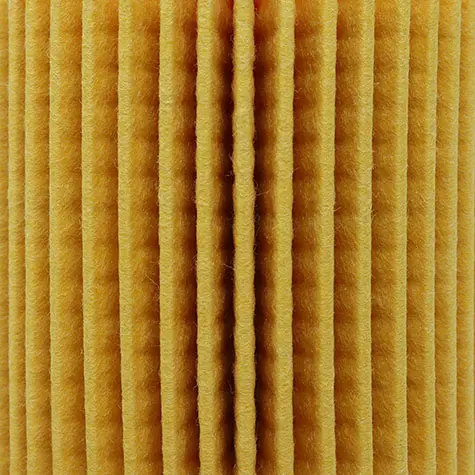 PRIMPOF5608_3_large.webp